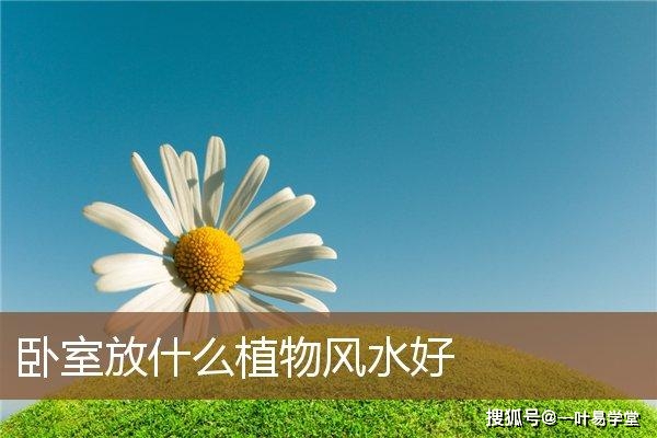 适合种大门口的风水植物_风水植物最好养哪几种_植物风水