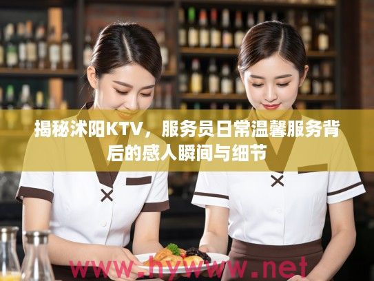 揭秘沭阳KTV，服务员日常温馨服务背后的感人瞬间与细节