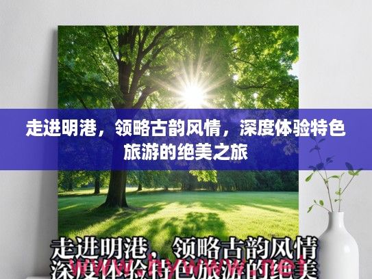 走进明港，领略古韵风情，深度体验特色旅游的绝美之旅