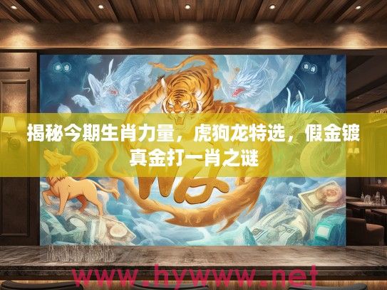 揭秘今期生肖力量，虎狗龙特选，假金镀真金打一肖之谜