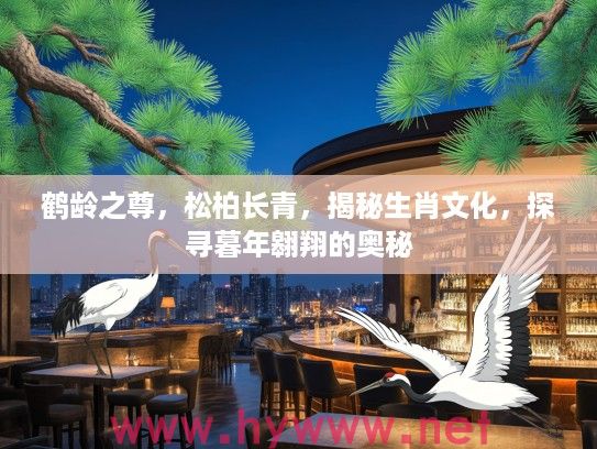 鹤龄之尊，松柏长青，揭秘生肖文化，探寻暮年翱翔的奥秘