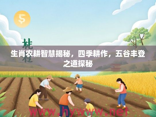 生肖农耕智慧揭秘，四季耕作，五谷丰登之道探秘