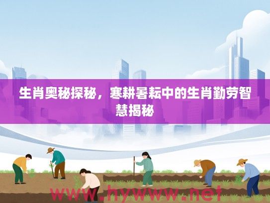 生肖奥秘探秘，寒耕暑耘中的生肖勤劳智慧揭秘