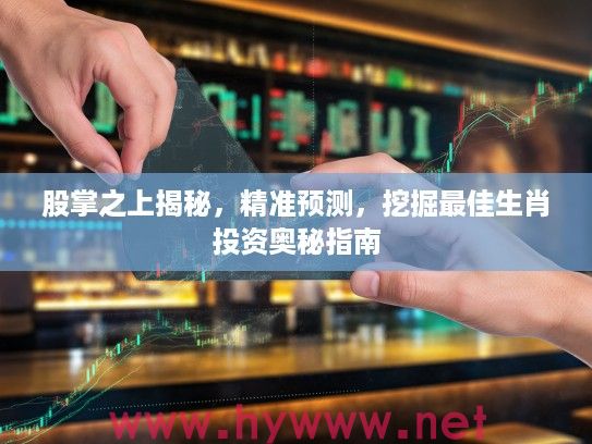 股掌之上揭秘，精准预测，挖掘最佳生肖投资奥秘指南