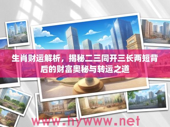生肖财运解析，揭秘二三同开三长两短背后的财富奥秘与转运之道