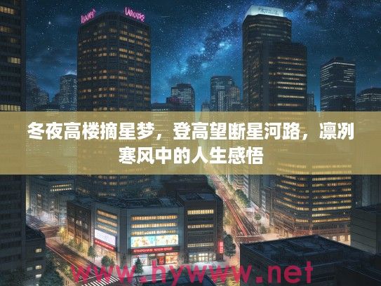 冬夜高楼摘星梦，登高望断星河路，凛冽寒风中的人生感悟