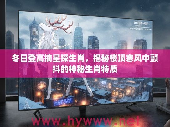 冬日登高摘星探生肖，揭秘楼顶寒风中颤抖的神秘生肖特质