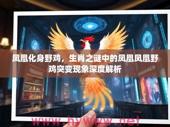 凤凰化身野鸡，生肖之谜中的凤凰凤凰野鸡突变现象深度解析