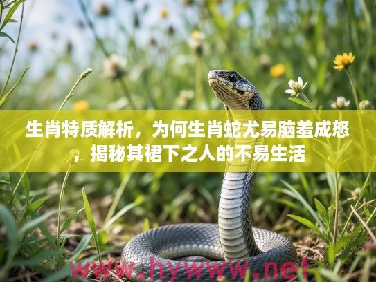 生肖特质解析，为何生肖蛇尤易脑羞成怒，揭秘其裙下之人的不易生活