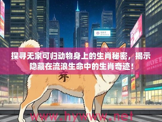 探寻无家可归动物身上的生肖秘密，揭示隐藏在流浪生命中的生肖奇迹！
