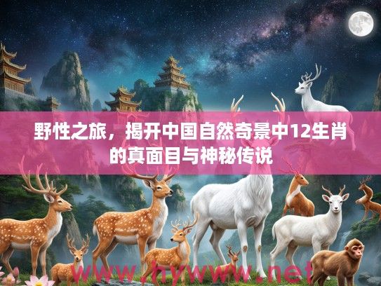野性之旅，揭开中国自然奇景中12生肖的真面目与神秘传说