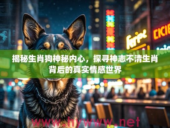 揭秘生肖狗神秘内心，探寻神志不清生肖背后的真实情感世界
