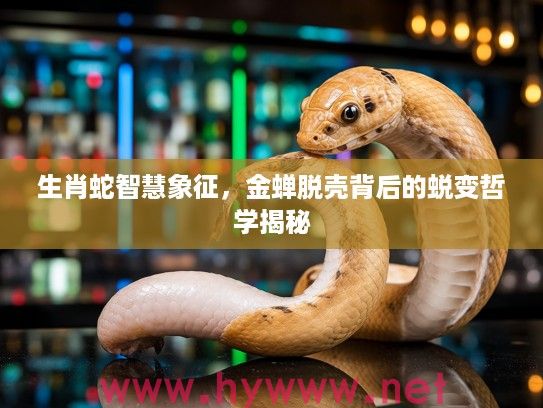 生肖蛇智慧象征，金蝉脱壳背后的蜕变哲学揭秘