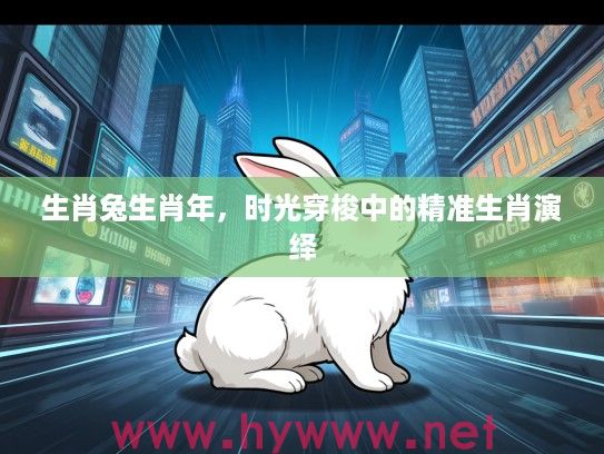 生肖兔生肖年，时光穿梭中的精准生肖演绎