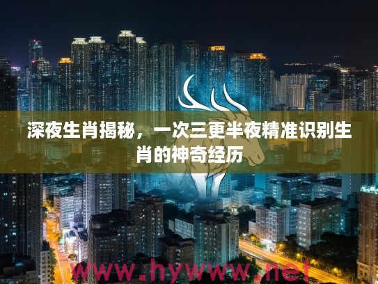 深夜生肖揭秘，一次三更半夜精准识别生肖的神奇经历