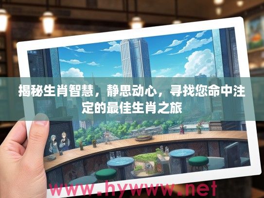 揭秘生肖智慧，静思动心，寻找您命中注定的最佳生肖之旅