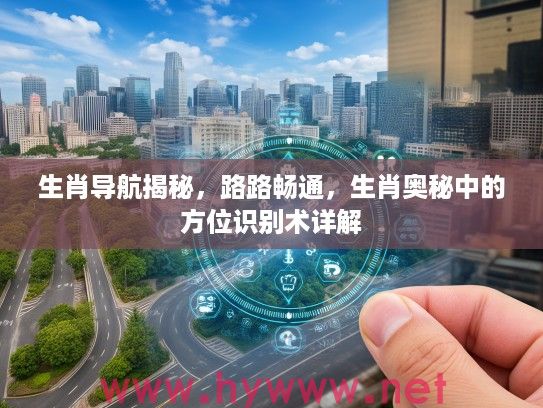 生肖导航揭秘，路路畅通，生肖奥秘中的方位识别术详解