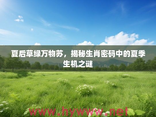 夏后草绿万物苏，揭秘生肖密码中的夏季生机之谜