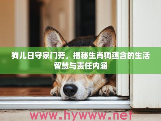 狗儿日守家门旁，揭秘生肖狗蕴含的生活智慧与责任内涵