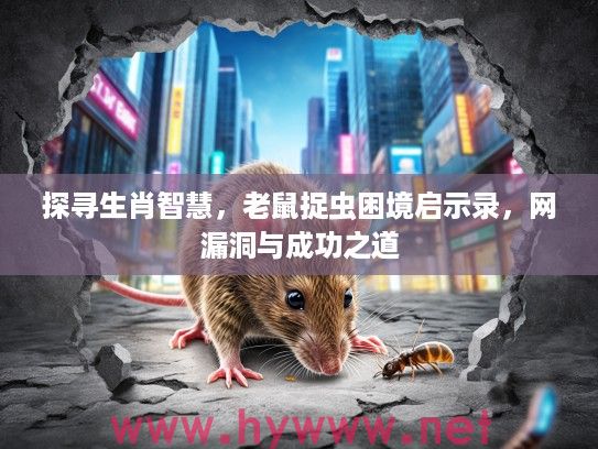 探寻生肖智慧，老鼠捉虫困境启示录，网漏洞与成功之道