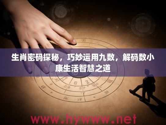 生肖密码探秘，巧妙运用九数，解码数小康生活智慧之道