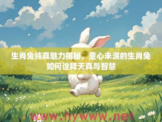 生肖兔纯真魅力揭秘，童心未泯的生肖兔如何诠释天真与智慧