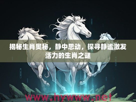揭秘生肖奥秘，静中思动，探寻静谧激发活力的生肖之谜