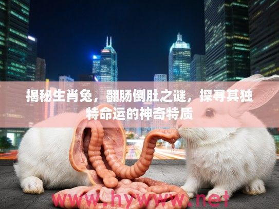 揭秘生肖兔，翻肠倒肚之谜，探寻其独特命运的神奇特质