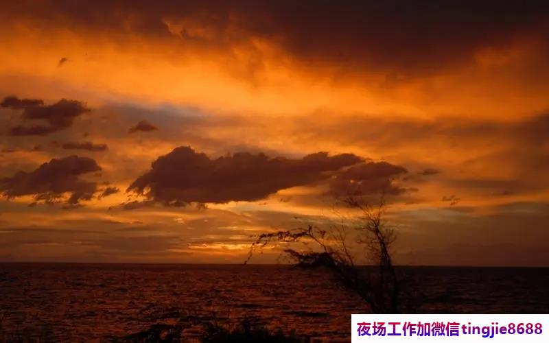 桓台KTV招聘服务员佳丽——化险为夷招聘市场,海纳百川人才济济,绝处逢生者众多