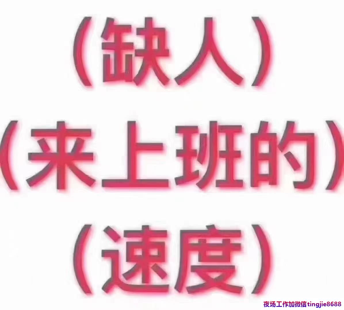 重庆夜总会酒店招聘佳丽——招揽资讯：急聘广告资讯高手,展现大家风范